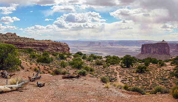 Canyonlands_UT_1