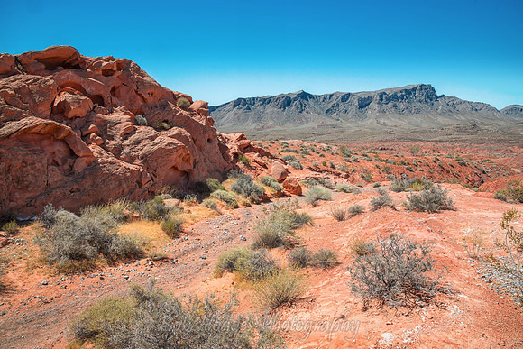 Valley_of_Fire_NV_2
