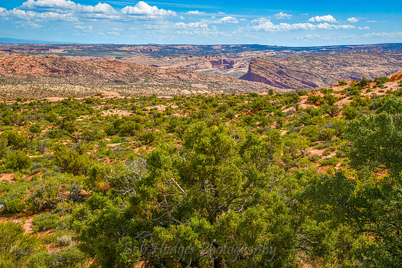 Arches_Nat_Park_UT_9