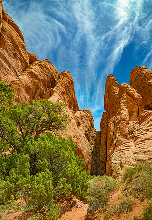 Arches_Nat_Parks_UT_21