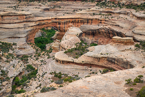 Arch,_Natural_Bridges_UT_7