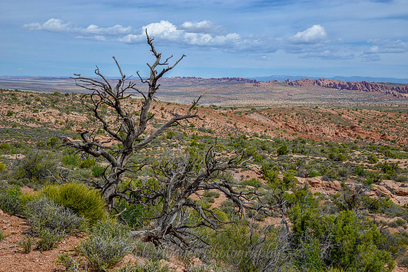 Arches_Nat_Park_UT_19