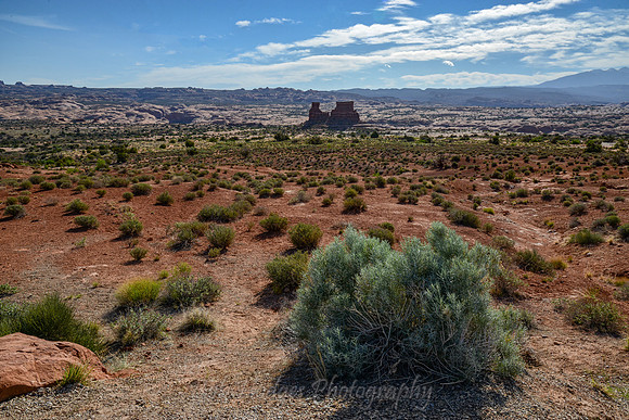 Arches_Nat_Park_UT_12