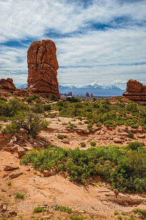 Arches_Nat_Park_UT_11