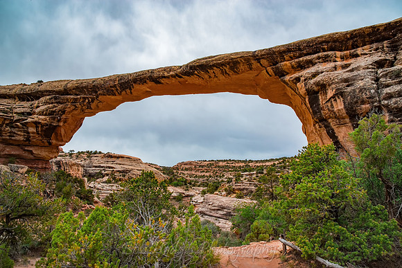 Natural_Bridges_UT_4
