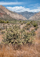 Red_Rock_Canyon_NV_1