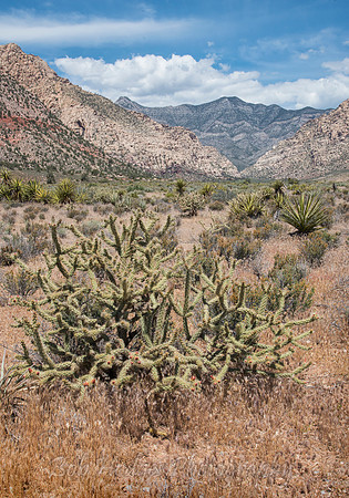 Red_Rock_Canyon_NV_1