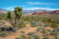 Red_Rock_Canyon_NV_2