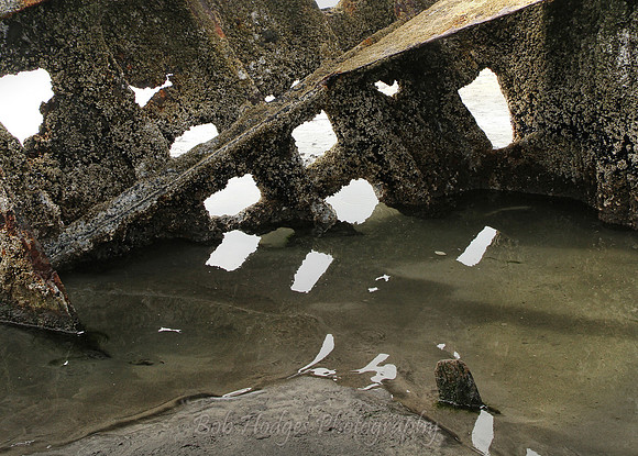 IMG_7516_Wreck_ of_the_Peter Iredale_4