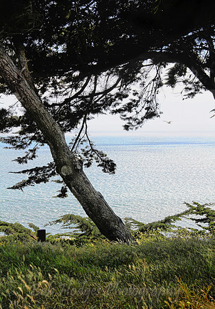 IMG_5063_Pacific_Overlook,_Oregon