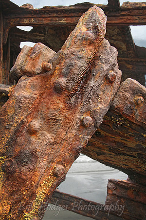 IMG_7534_Wreck_ of_the_Peter_Iredale_3