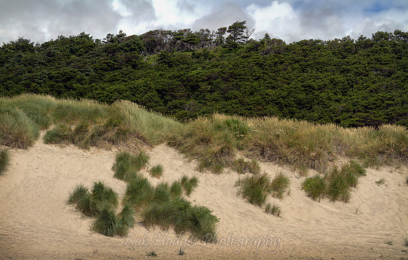 157_Oregon_Beach