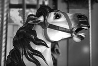 004_IMG_0354_Carousel proc2