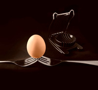 004_egg proc