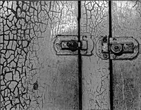 img097_Reticulated_Paint
