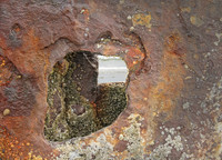IMG_7522_Wreck_of_the-Peter-Iredale_2