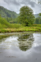 NW Oregon 2015