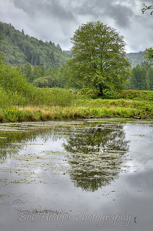 _MG_3531_2_3_tonemapped proc3 lrg