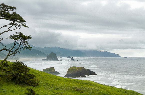 _MG_3762 proc5