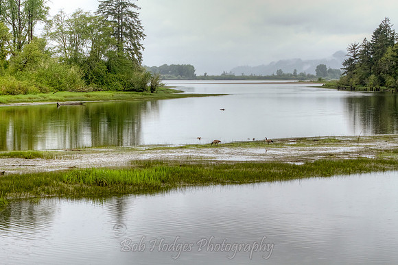 _MG_3498_499_500_tonemapped proc2 warmer