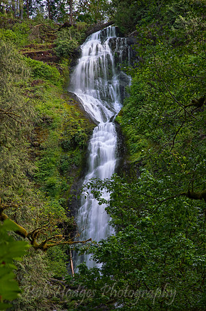 _MG_4182 merge blend etc final