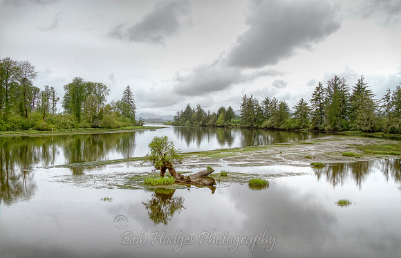 _MG_3526_7_8_tonemapped proc2
