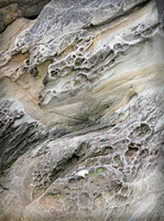 IMG_1916_Larrabee_State_Park,WA