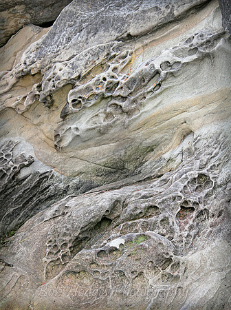 IMG_1916_Larrabee_State_Park,WA