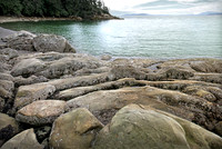 pano2_Larrabee_State_ParkWA-rys, etc