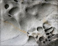 Larrabee State Park