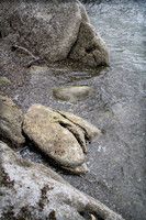 IMG_1925_Larrabee_State_Park,WA