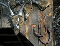IMG_4766_Displayed_Deer_Heads