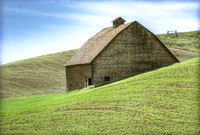 Spring_Wheat_around_Barn