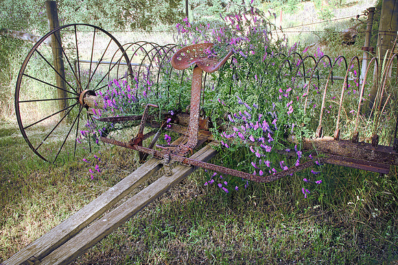 IMG_4726_Old_Farm_Equipment_out_to_Pasture_5 rys - Copy