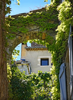 _MG_5330_Domaine_de_Belezy_Bedoin_5