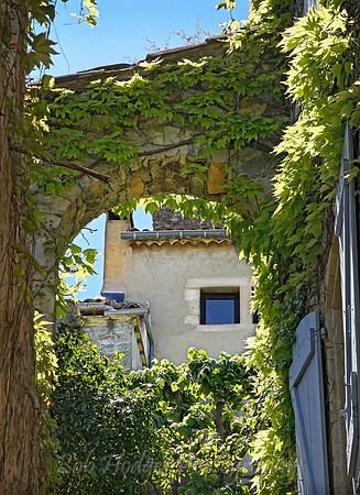 _MG_5330_Domaine_de_Belezy_Bedoin_5