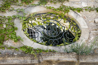 _MG_5347_Domaine_de_Belezy_Bedoin_8