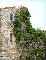 _MG_5332_Domaine_de_Belezy_Bedoin_6