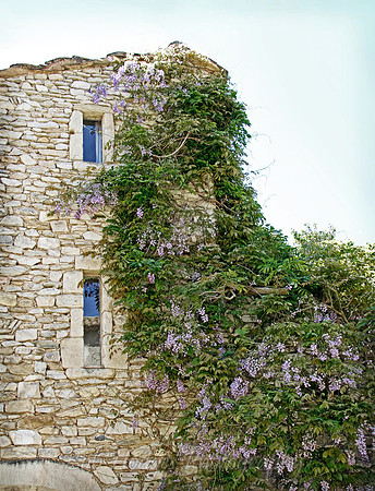 _MG_5332_Domaine_de_Belezy_Bedoin_6