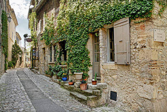 _MG_5397_Domaine_de_Belezy_Bedoin_13