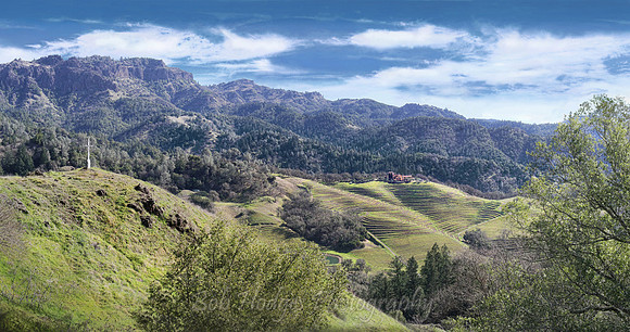 Mountain_Winery_near_Anguin CA proc2