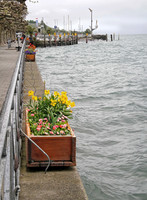 _MG_5054_Meersburg