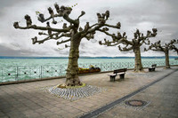 _MG_5048_Meersburg rys