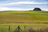 IMG_9512_Desolate_Barn_Petaluma_CA proc3