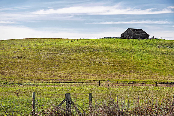 IMG_9512_Desolate_Barn_Petaluma_CA proc3
