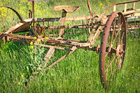 IMG_9553_Abandoned_Farm_Equipment 2 rys
