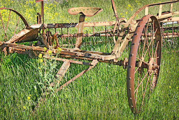 IMG_9553_Abandoned_Farm_Equipment 2 rys