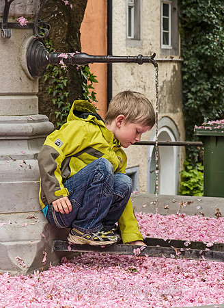 _MG_5128_Meersburg