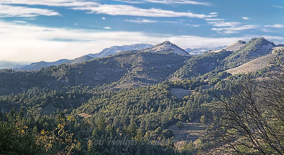 IMG_9602_Sonoma_County_Coastal_Mountains
