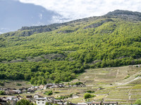 _MG_5270 proc
